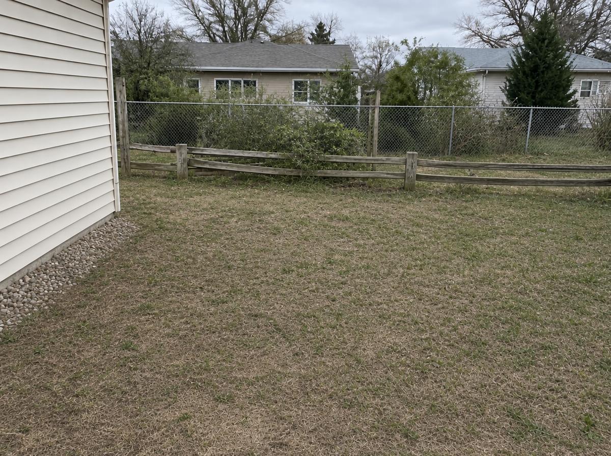 Yard debris clean up after