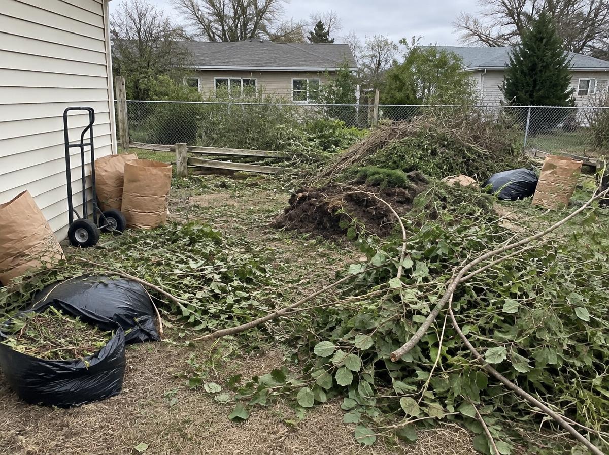 Yard debris clean up before